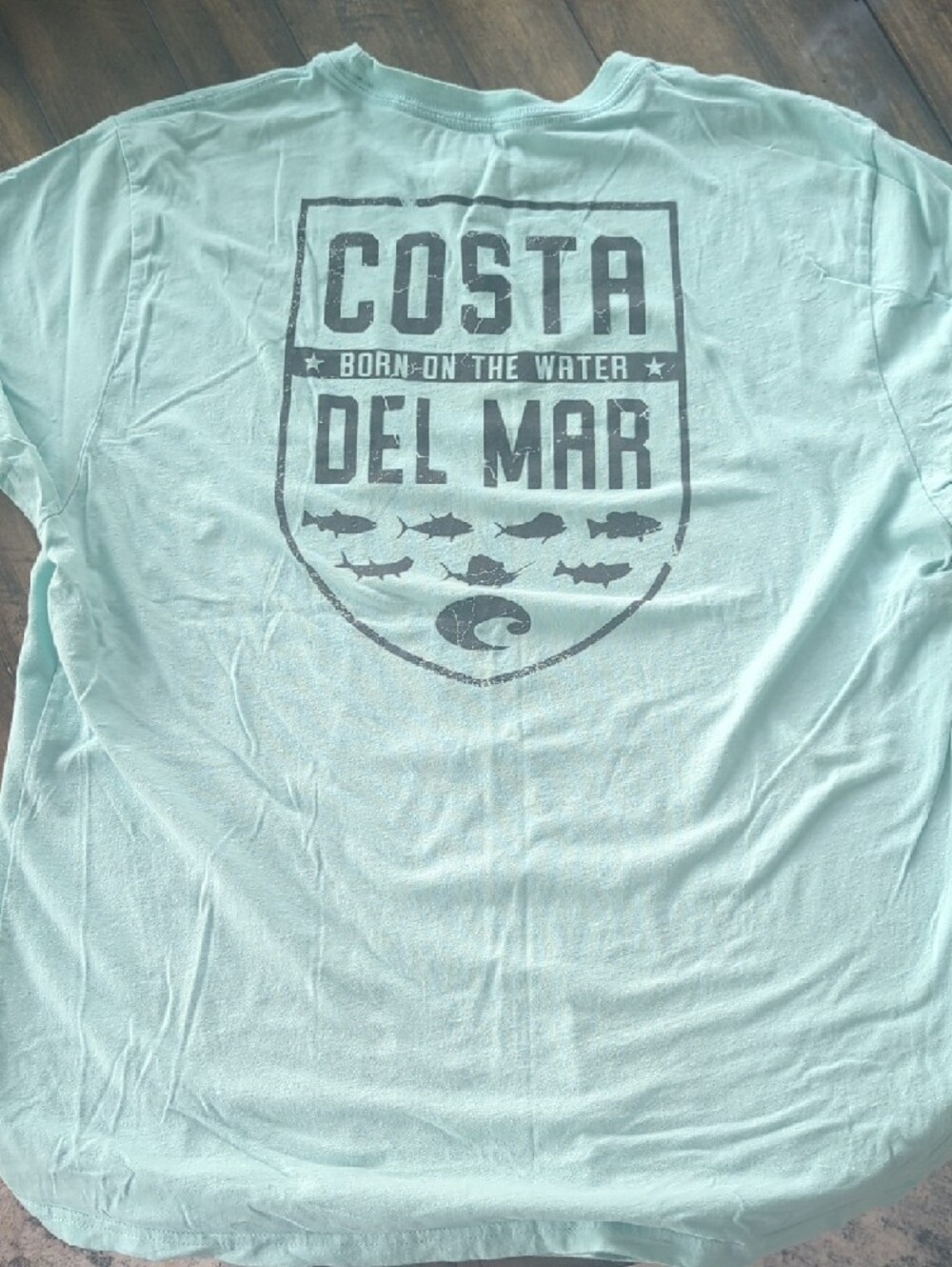 Costa Mint Green Logo Tee with Palm Graphic - Picture 2 of 3